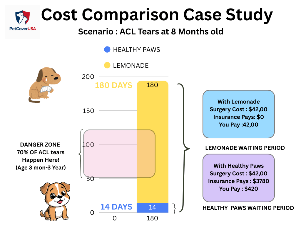 Lemonade Pet Insurance Review : lemonade pet insurance ACL waiting period