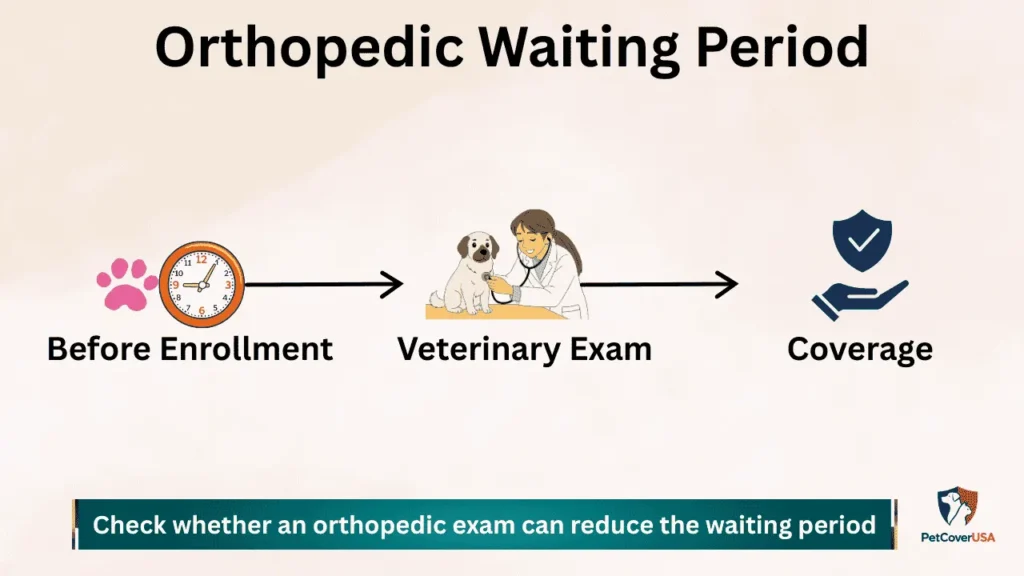 Embrace Pet Insurance Review showing orthopedic waiting period and veterinary exam

