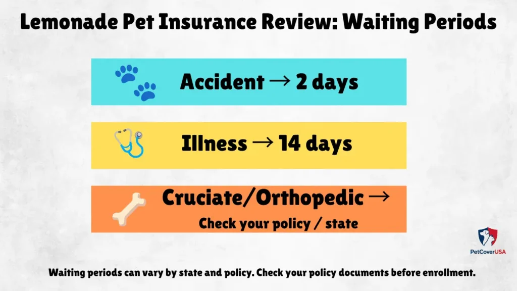Lemonade Pet Insurance Review showing accident illness and cruciate waiting periods