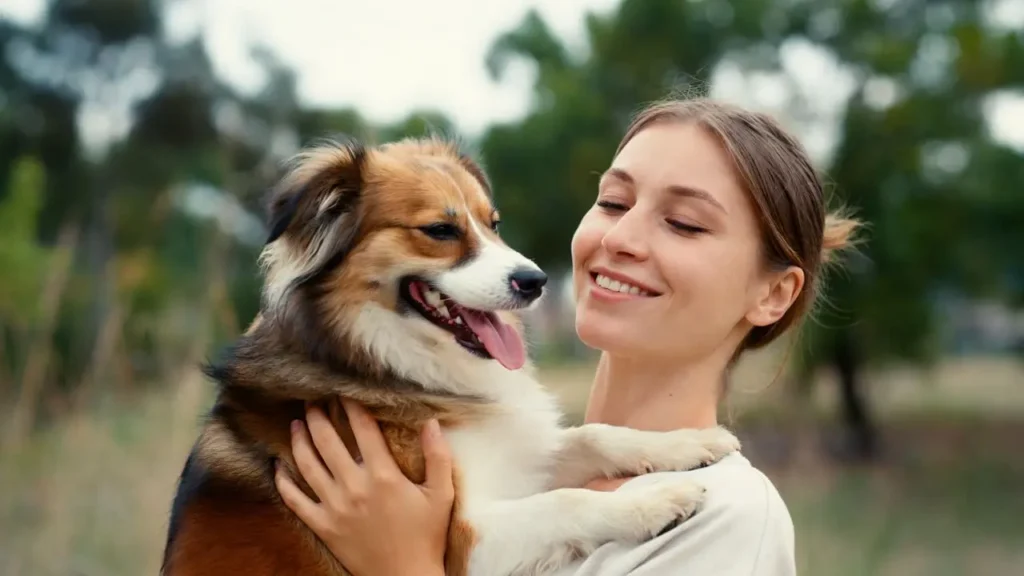 Dog and cat protected by Pet Insurance With No Waiting Period in USA