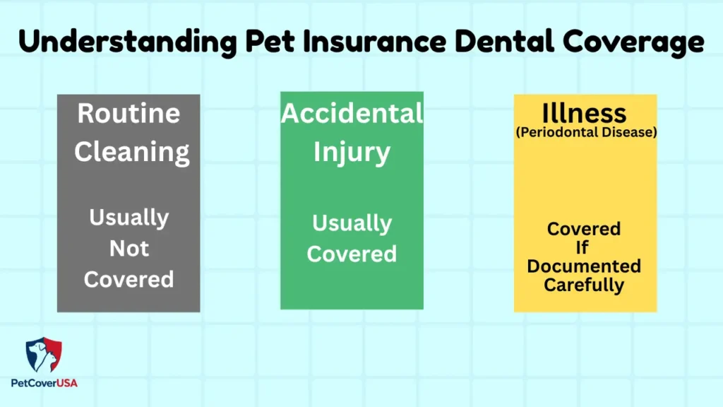 Chart showing what dog dental insurance covers — routine cleaning, accidental tooth injury, and illness-related periodontal disease coverage
