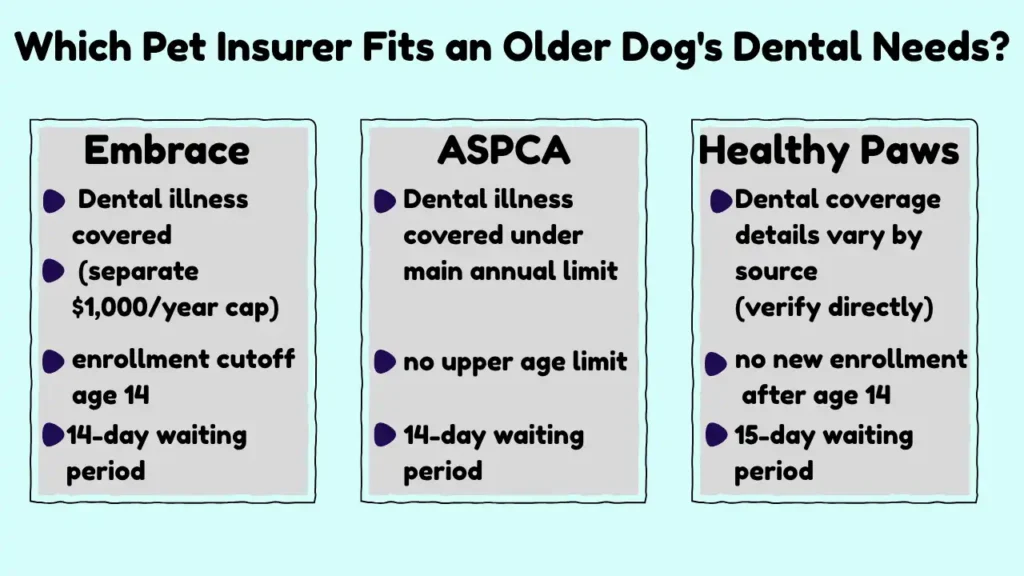 Side-by-side comparison infographic of Embrace, ASPCA, and Healthy Paws pet insurance dental coverage, age limits, and waiting periods for senior dogs
