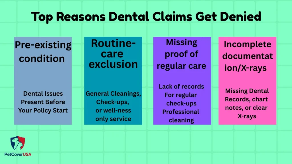  Checklist infographic showing the top four reasons pet insurance dental claims are denied including pre-existing conditions and missing documentation