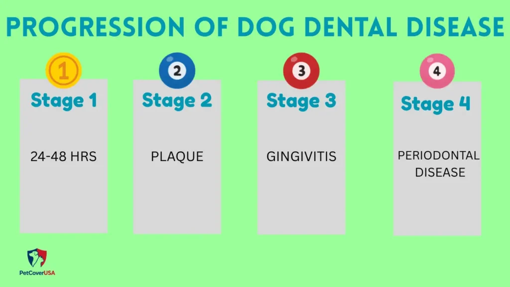 Dog Dental Cleaning Tips at Home infographic showing how plaque progresses to periodontal disease