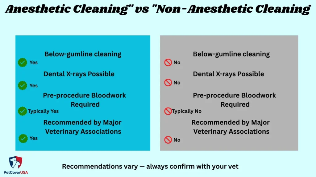 Dog dental care tips for healthy teeth comparison of anesthetic vs non-anesthetic teeth cleaning