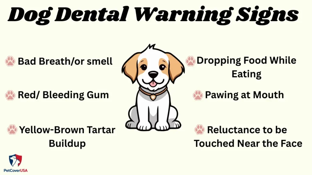 Dog Dental Care Tips for Healthy Teeth  warning signs checklist infographic for pet owners