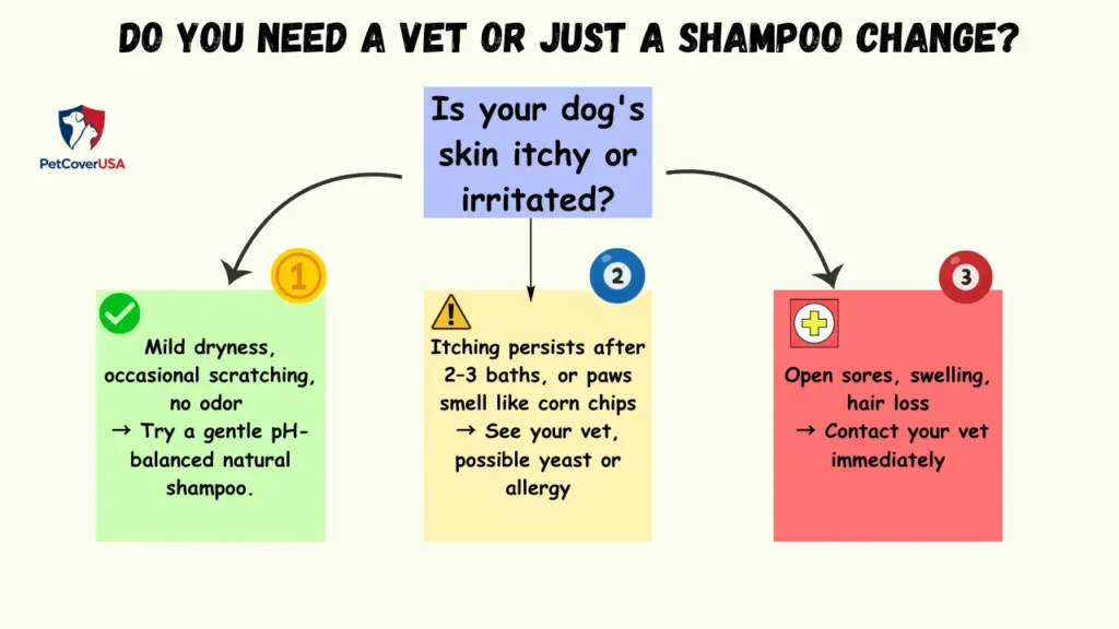 Natural dog shampoo for sensitive skin — decision flowchart for when to see a vet