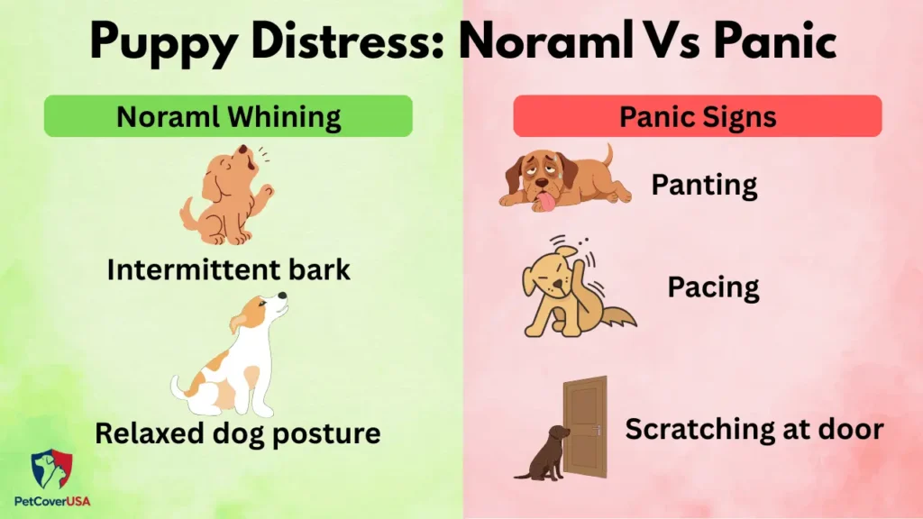 Normal whining vs panic signs — how to tell the difference when trying to how to stop your puppy from crying in the crate