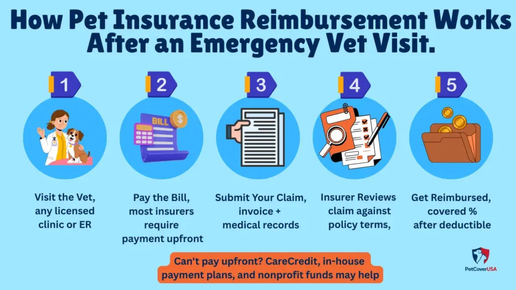 Does Pet insurance cover emergency vet visits — 5-step claims and reimbursement process