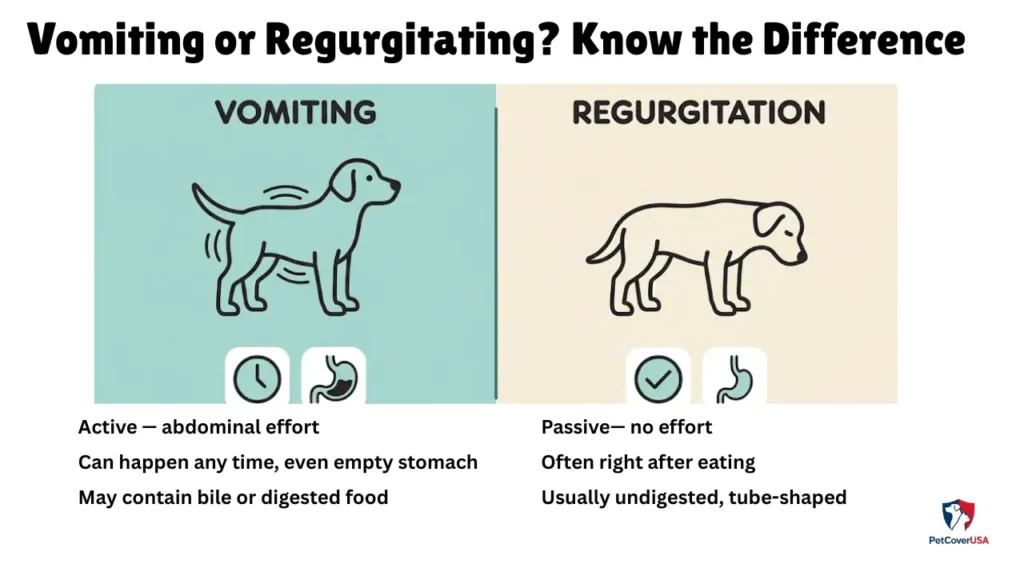 Vomiting vs regurgitation in small dogs showing dog food for small dogs with sensitive stomachs comparison infographic