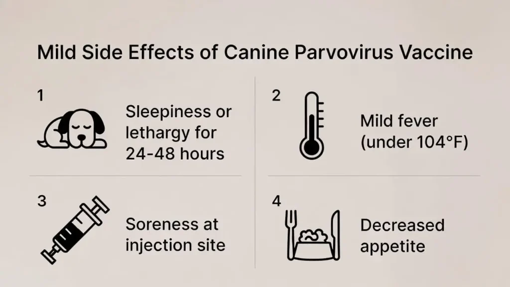Puppy feeling sleepy after canine parvovirus vaccine side effects