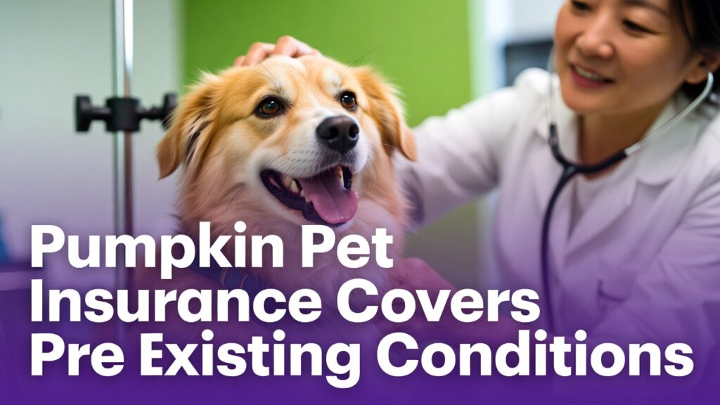 Pumpkin Pet Insurance Covers Pre Existing Conditions – thumbnail image with keyword text