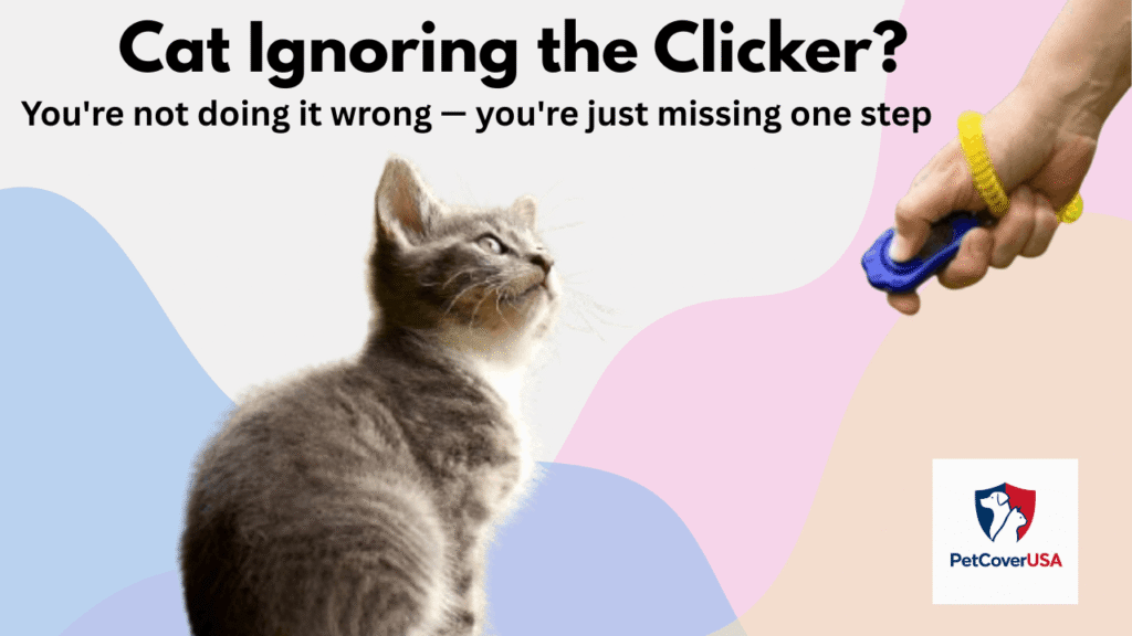 Cat clicker training tips