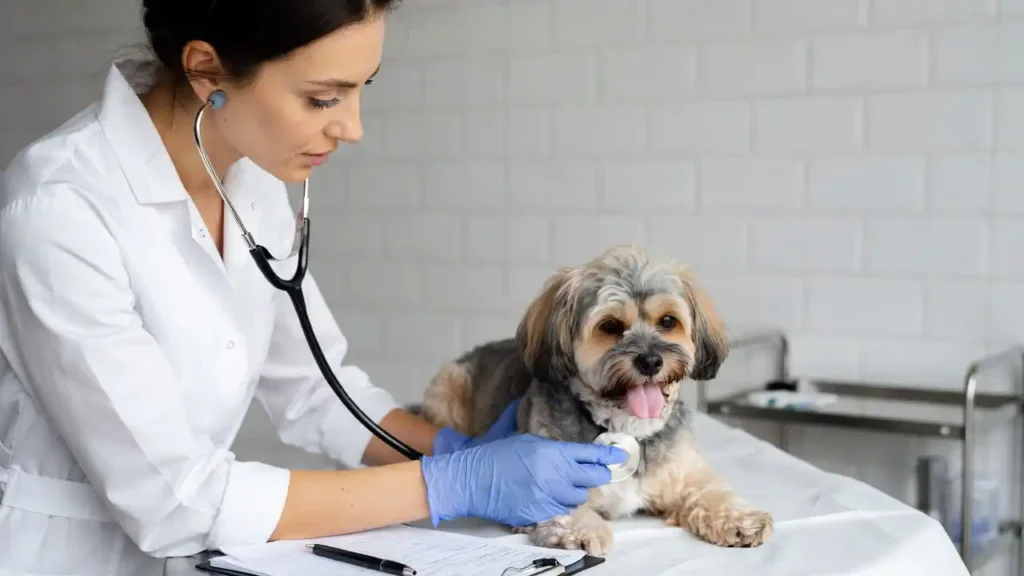 “Complete Guide to Pet Insurance in the USA – pet owner checking insurance costs and savings online”